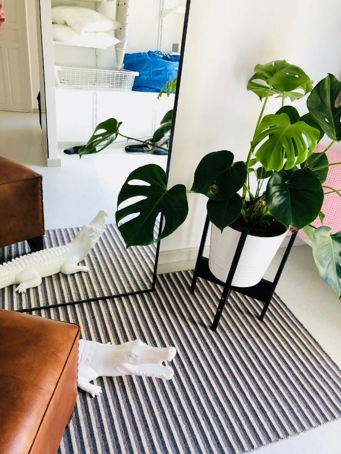 White Loft אליקאנטה מראה חיצוני תמונה